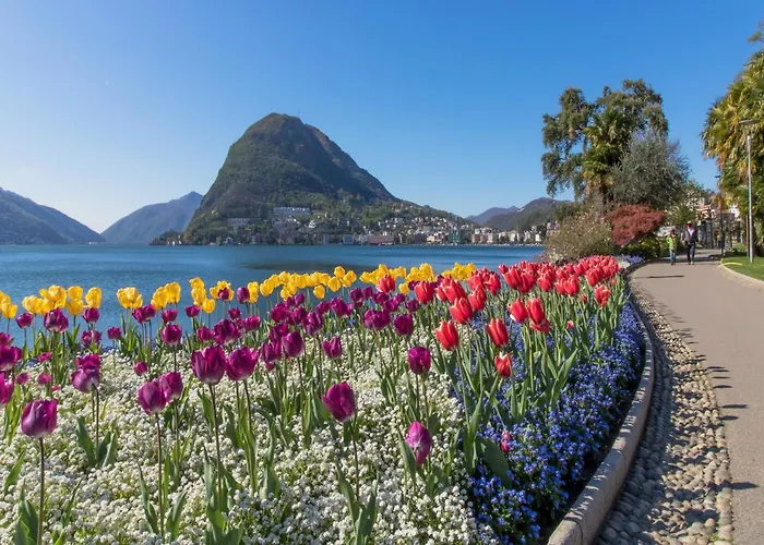 Daire Icon H - Luxury & *